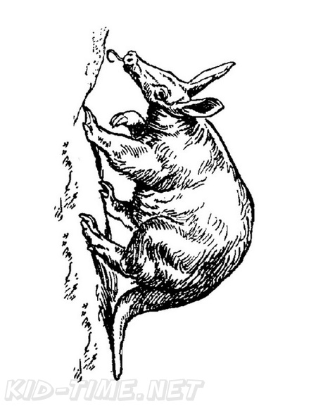 aardvark-coloring-pages-003.jpg