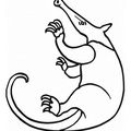 aardvark-coloring-pages-004.jpg