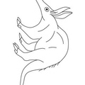 aardvark-coloring-pages-005.jpg