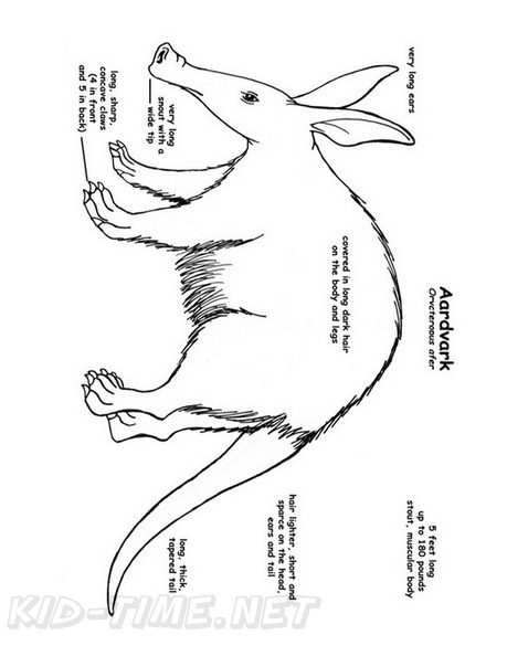 aardvark-coloring-pages-008.jpg