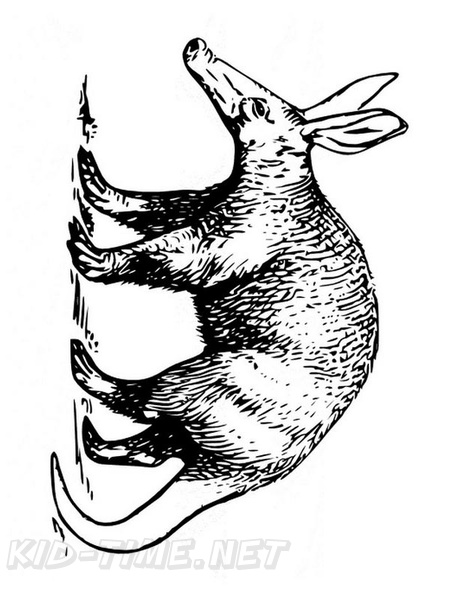 aardvark-coloring-pages-011.jpg