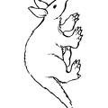aardvark-coloring-pages-015.jpg