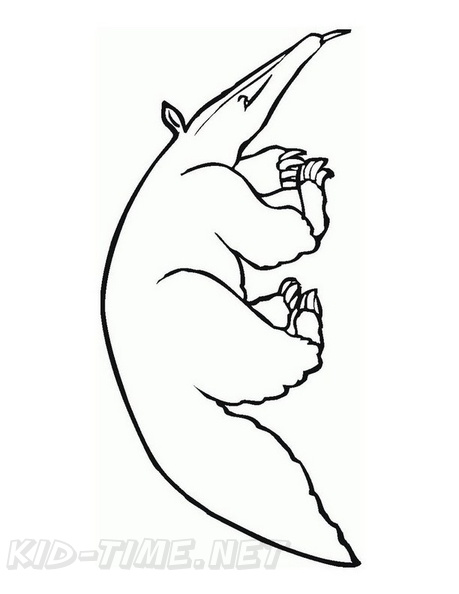 aardvark-coloring-pages-020.jpg