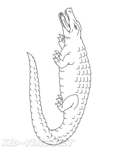 alligator-coloring-pages-013.jpg