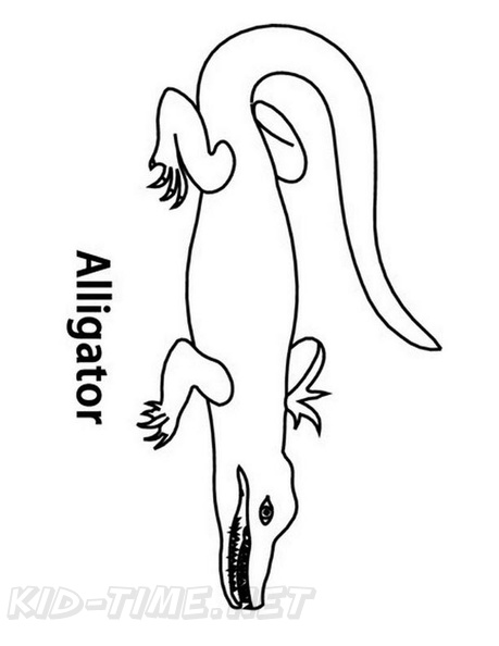 alligator-coloring-pages-038.jpg