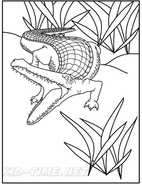 alligator-coloring-pages-049.jpg
