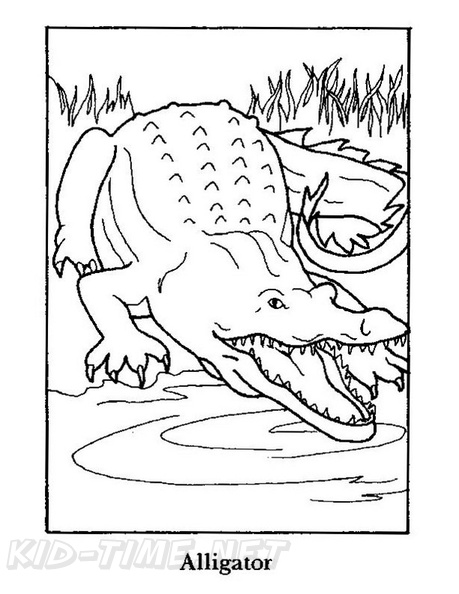 alligator-coloring-pages-050.jpg