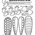 alligator-coloring-pages-080.jpg
