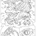alligator-coloring-pages-095.jpg