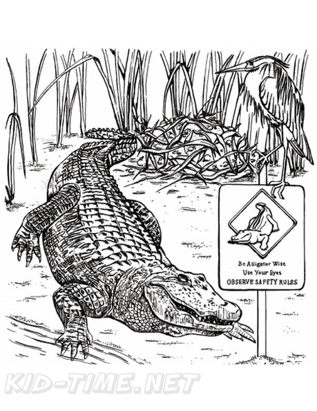 alligator-coloring-pages-099.jpg