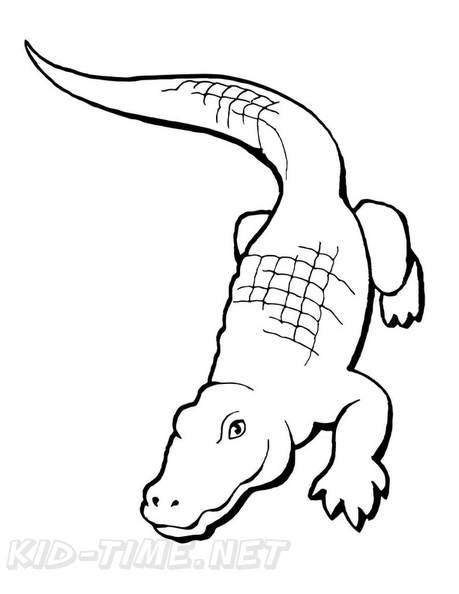 alligator-coloring-pages-105.jpg