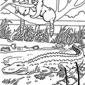alligator-coloring-pages-111.jpg