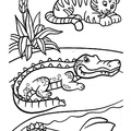 alligator-coloring-pages-115.jpg