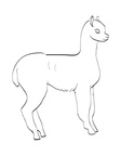 Alpaca Coloring Book Page