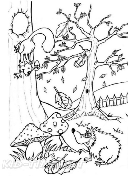 amazon-rainforest-animals-coloring-pages-009.jpg