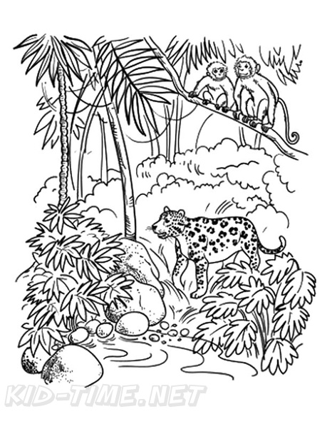 Download Animals In Rainforest Coloring Pages PNG