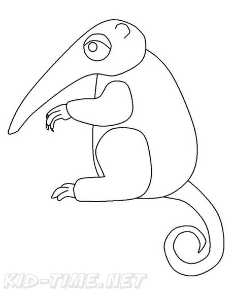 anteater-coloring-pages-004.jpg