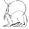anteater-coloring-pages-031.jpg