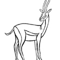 antelope-coloring-pages-001.jpg