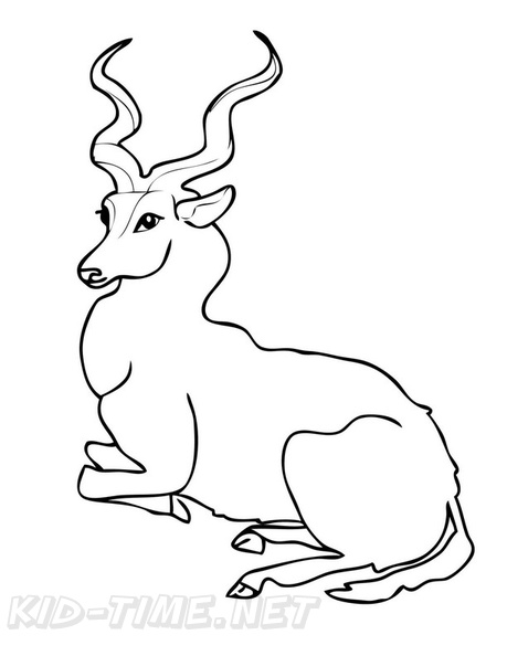 antelope-coloring-pages-002.jpg