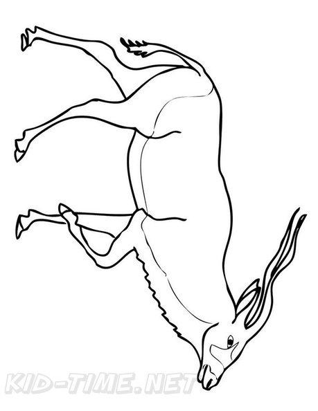 antelope-coloring-pages-016.jpg