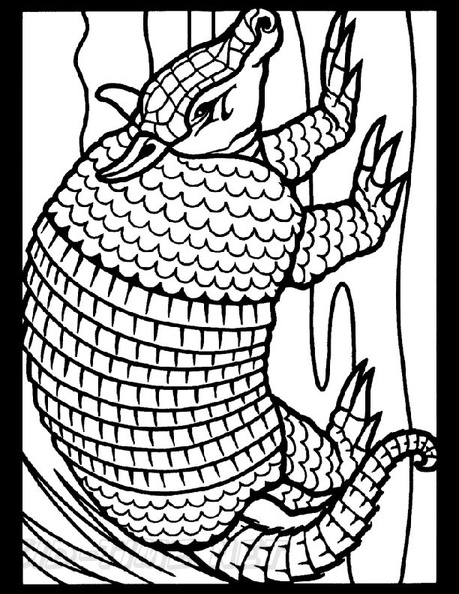 armadillo-coloring-pages-005.jpg