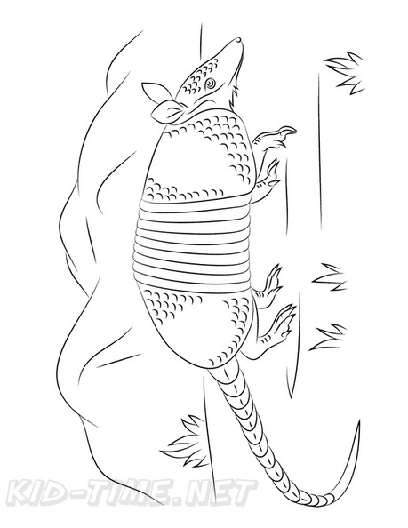 Armadillo Coloring Book Page | Free Coloring Book Pages Printables