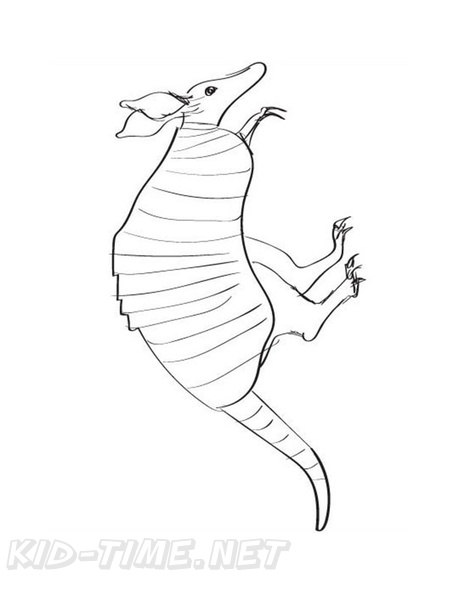 armadillo-coloring-pages-020.jpg
