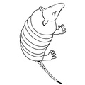 armadillo-coloring-pages-023.jpg