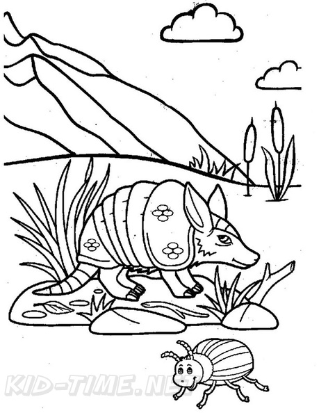 armadillo-coloring-pages-027.jpg