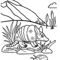 armadillo-coloring-pages-027.jpg