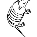 armadillo-coloring-pages-031.jpg