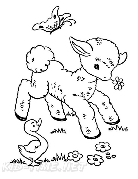 baby-animals-coloring-pages-078.jpg
