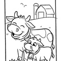 baby-animals-coloring-pages-104.jpg