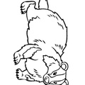 badger-coloring-pages-003.jpg