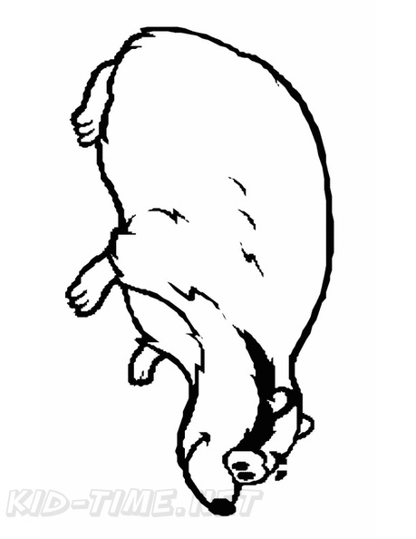 badger-coloring-pages-004.jpg