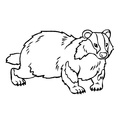 badger-coloring-pages-016.jpg