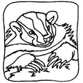 badger-coloring-pages-023.jpg