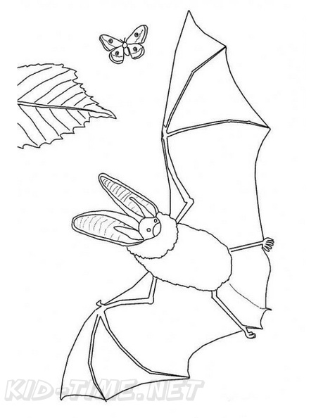 bat-coloring-pages-027.jpg