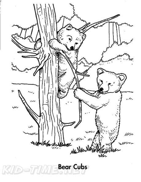 Black_Bear_Cubs_Coloring_Pages_008.jpg