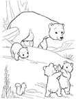 Brown Bear Coloring Book Page