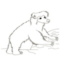 cute-bear-coloring-pages-014