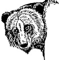 grizzly-bear-coloring-pages-012.jpg