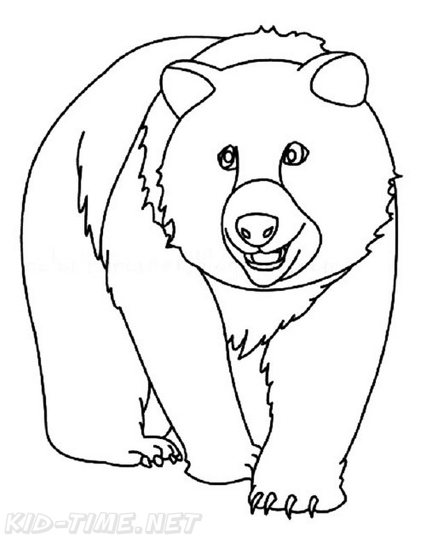 realistic bear coloring pages