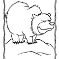 grizzly-bear-coloring-pages-040.jpg
