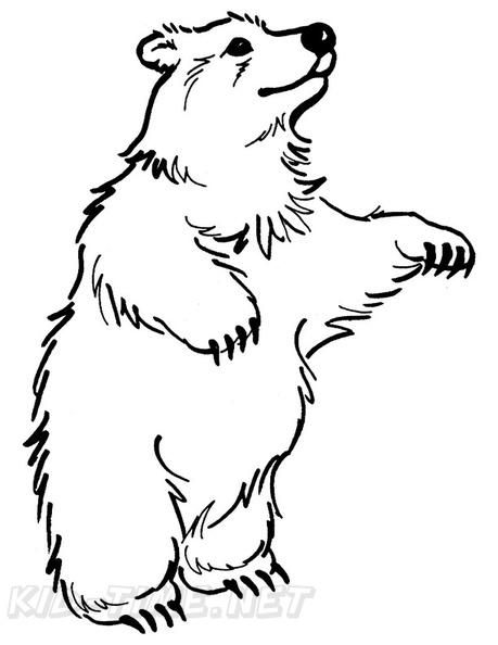 grizzly-bear-coloring-pages-043.jpg
