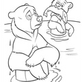 Grizzly Bear Coloring Book Page