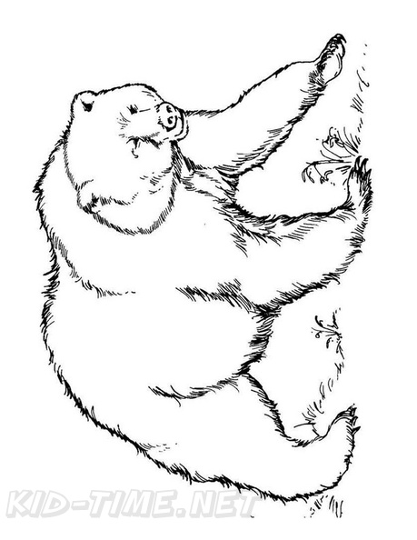 grizzly-bear-coloring-pages-055.jpg