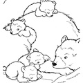 grizzly-bear-coloring-pages-075.jpg