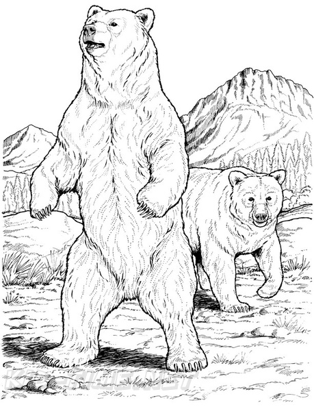 grizzly-bear-coloring-pages-076.jpg